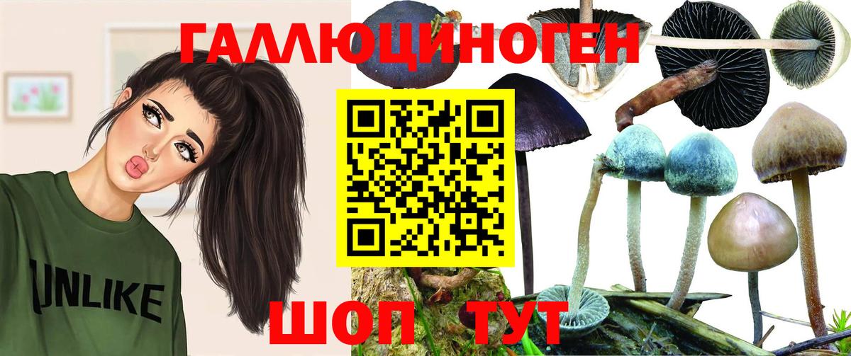 Кирово-Чепецк  Псилоцибиновые грибы прущие грибы  Вход с VPN 