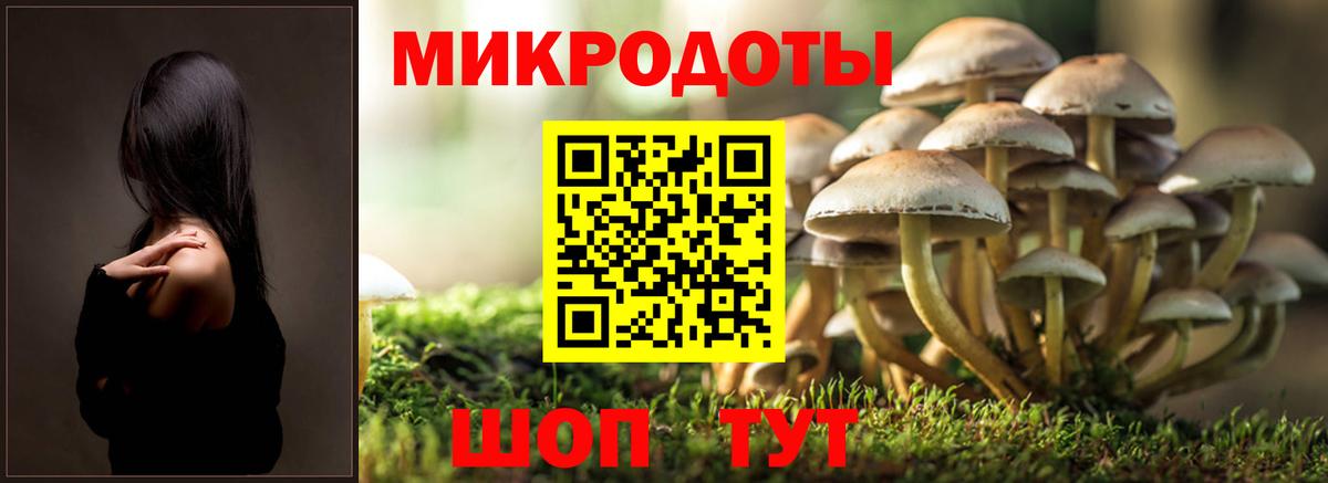 Галлюциногенные грибы Magic Shrooms Кирово-Чепецк